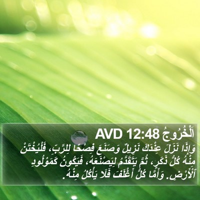 اَلْخُرُوجُ 12:48 AVD Bible Verse Image