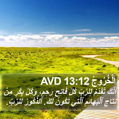 اَلْخُرُوجُ 13:12 AVD Bible Verse Image