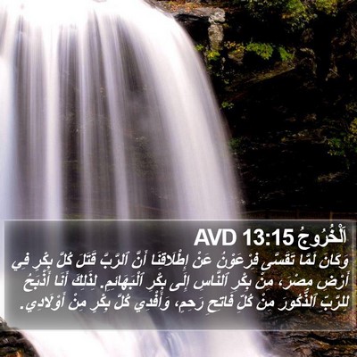 اَلْخُرُوجُ 13:15 AVD Bible Verse Image