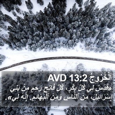 اَلْخُرُوجُ 13:2 AVD Bible Verse Image