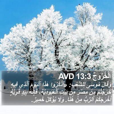 اَلْخُرُوجُ 13:3 AVD Bible Verse Image