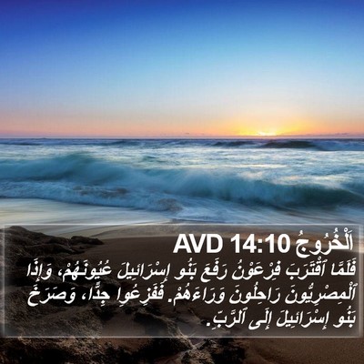 اَلْخُرُوجُ 14:10 AVD Bible Verse Image
