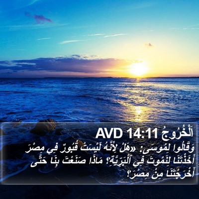 اَلْخُرُوجُ 14:11 AVD Bible Verse Image