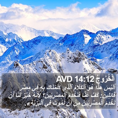 اَلْخُرُوجُ 14:12 AVD Bible Verse Image