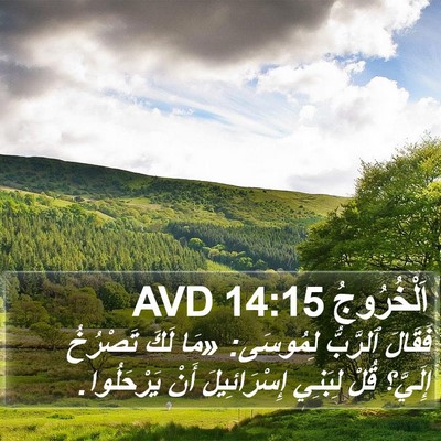 اَلْخُرُوجُ 14:15 AVD Bible Verse Image