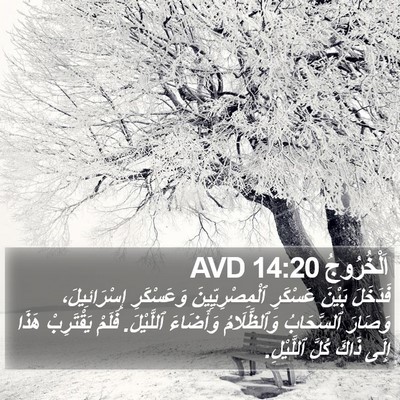 اَلْخُرُوجُ 14:20 AVD Bible Verse Image