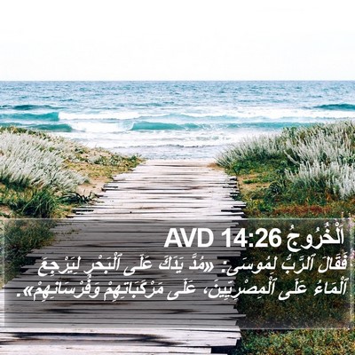 اَلْخُرُوجُ 14:26 AVD Bible Verse Image