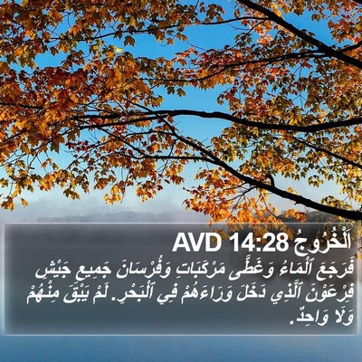 اَلْخُرُوجُ 14:28 AVD Bible Verse Image