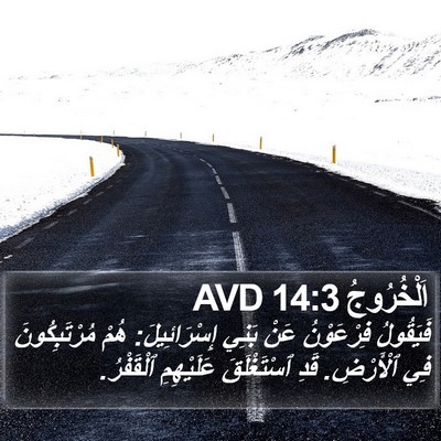 اَلْخُرُوجُ 14:3 AVD Bible Verse Image