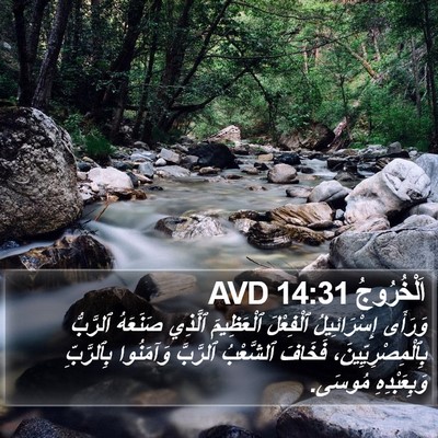 اَلْخُرُوجُ 14:31 AVD Bible Verse Image