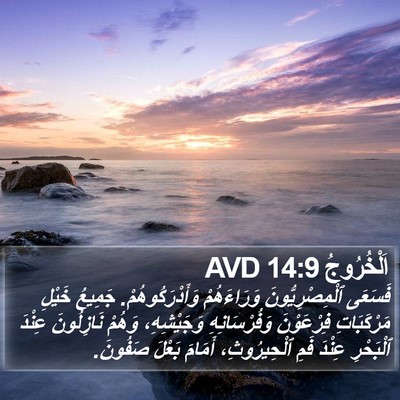 اَلْخُرُوجُ 14:9 AVD Bible Verse Image