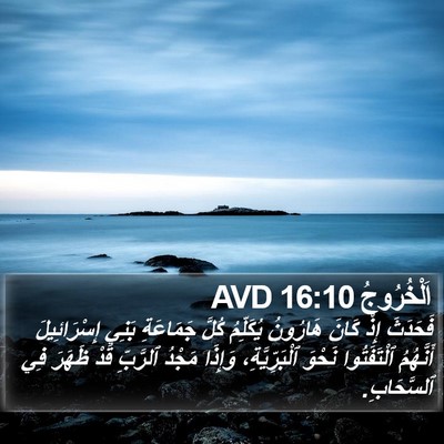 اَلْخُرُوجُ 16:10 AVD Bible Verse Image