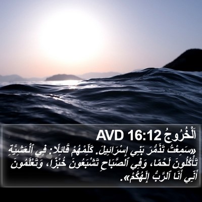 اَلْخُرُوجُ 16:12 AVD Bible Verse Image