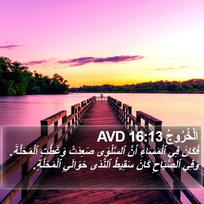 اَلْخُرُوجُ 16:13 AVD Bible Verse Image