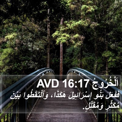 اَلْخُرُوجُ 16:17 AVD Bible Verse Image
