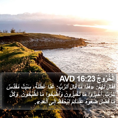 اَلْخُرُوجُ 16:23 AVD Bible Verse Image
