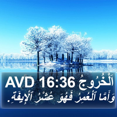 اَلْخُرُوجُ 16:36 AVD Bible Verse Image