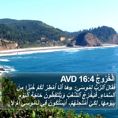 اَلْخُرُوجُ 16:4 AVD Bible Verse Image