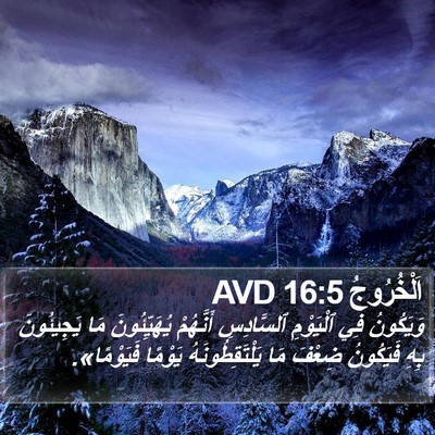 اَلْخُرُوجُ 16:5 AVD Bible Verse Image