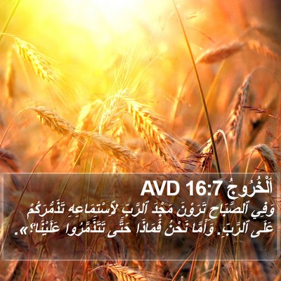 اَلْخُرُوجُ 16:7 AVD Bible Verse Image