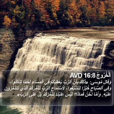 اَلْخُرُوجُ 16:8 AVD Bible Verse Image