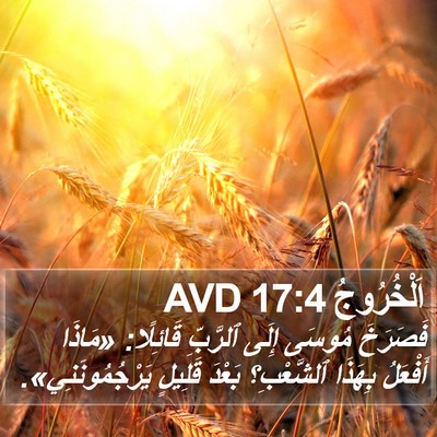 اَلْخُرُوجُ 17:4 AVD Bible Verse Image