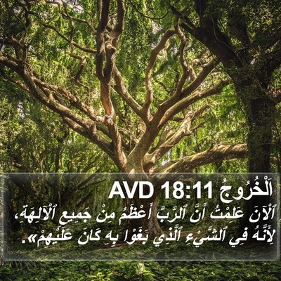 اَلْخُرُوجُ 18:11 AVD Bible Verse Image