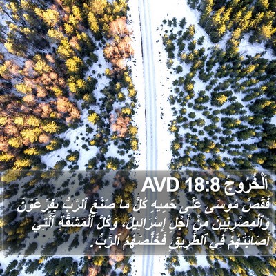 اَلْخُرُوجُ 18:8 AVD Bible Verse Image