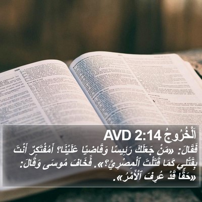 اَلْخُرُوجُ 2:14 AVD Bible Verse Image