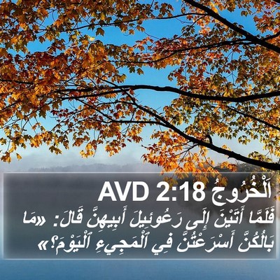 اَلْخُرُوجُ 2:18 AVD Bible Verse Image