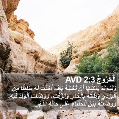 اَلْخُرُوجُ 2:3 AVD Bible Verse Image