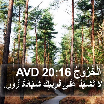 اَلْخُرُوجُ 20:16 AVD Bible Verse Image