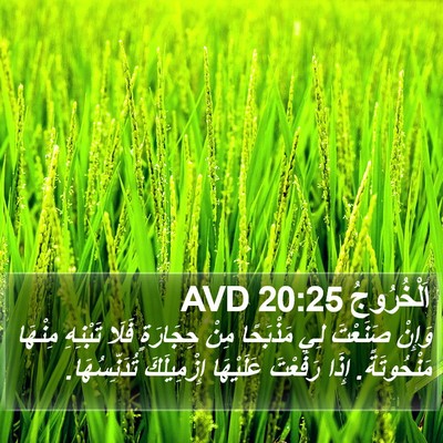 اَلْخُرُوجُ 20:25 AVD Bible Verse Image