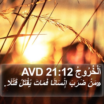 اَلْخُرُوجُ 21:12 AVD Bible Verse Image