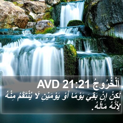 اَلْخُرُوجُ 21:21 AVD Bible Verse Image