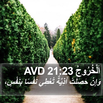 اَلْخُرُوجُ 21:23 AVD Bible Verse Image