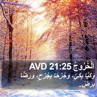 اَلْخُرُوجُ 21:25 AVD Bible Verse Image