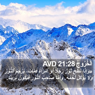 اَلْخُرُوجُ 21:28 AVD Bible Verse Image