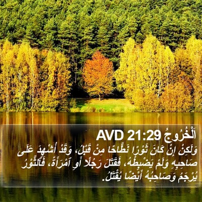 اَلْخُرُوجُ 21:29 AVD Bible Verse Image