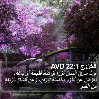 اَلْخُرُوجُ 22:1 AVD Bible Verse Image