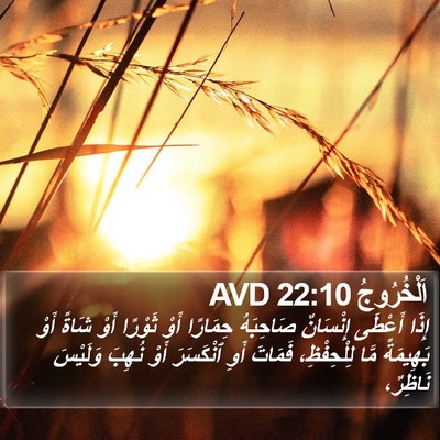 اَلْخُرُوجُ 22:10 AVD Bible Verse Image