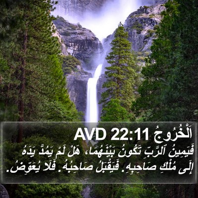 اَلْخُرُوجُ 22:11 AVD Bible Verse Image