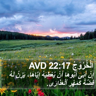 اَلْخُرُوجُ 22:17 AVD Bible Verse Image