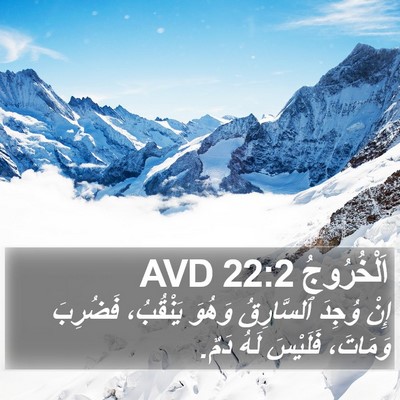 اَلْخُرُوجُ 22:2 AVD Bible Verse Image