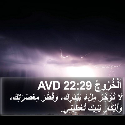اَلْخُرُوجُ 22:29 AVD Bible Verse Image
