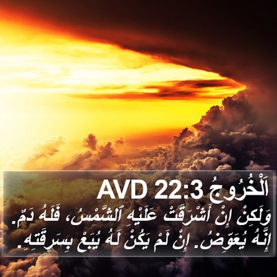 اَلْخُرُوجُ 22:3 AVD Bible Verse Image