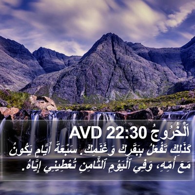 اَلْخُرُوجُ 22:30 AVD Bible Verse Image