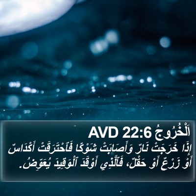 اَلْخُرُوجُ 22:6 AVD Bible Verse Image