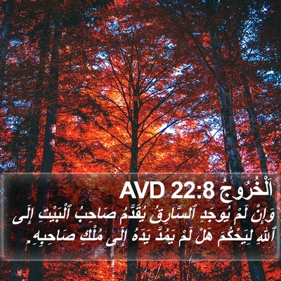 اَلْخُرُوجُ 22:8 AVD Bible Verse Image