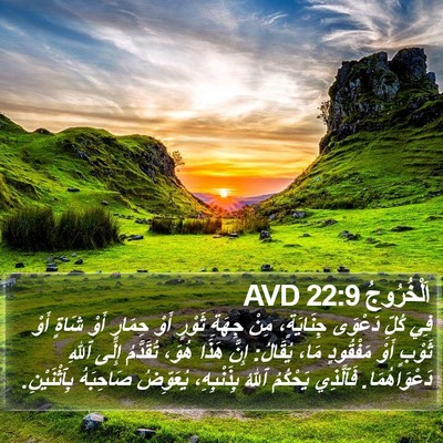 اَلْخُرُوجُ 22:9 AVD Bible Verse Image